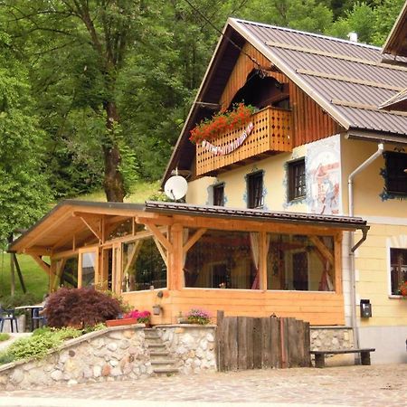 Farm Stay Trlej Begunje na Gorenjskem Zewnętrze zdjęcie
